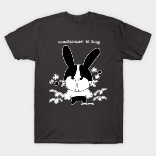 Amusement is Key T-Shirt